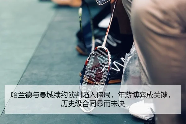 ha-lan-de-yu-man-cheng-xu-yue-tan-pan-xian-ru-jiang-ju-nian-xin-bo-yi-cheng-guan-jian-li-shi-ji-he-tong-xuan-er-wei-jue-2-427.jpg